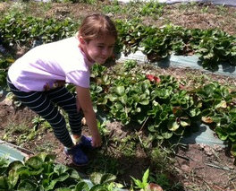 Girl farming! Girl farming!